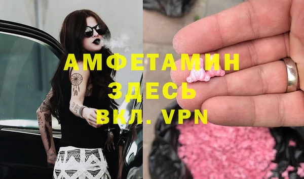 каннабис Ессентукская