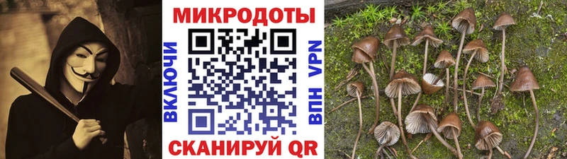 Галлюциногенные грибы GOLDEN TEACHER  купить  цена  Каспийск 